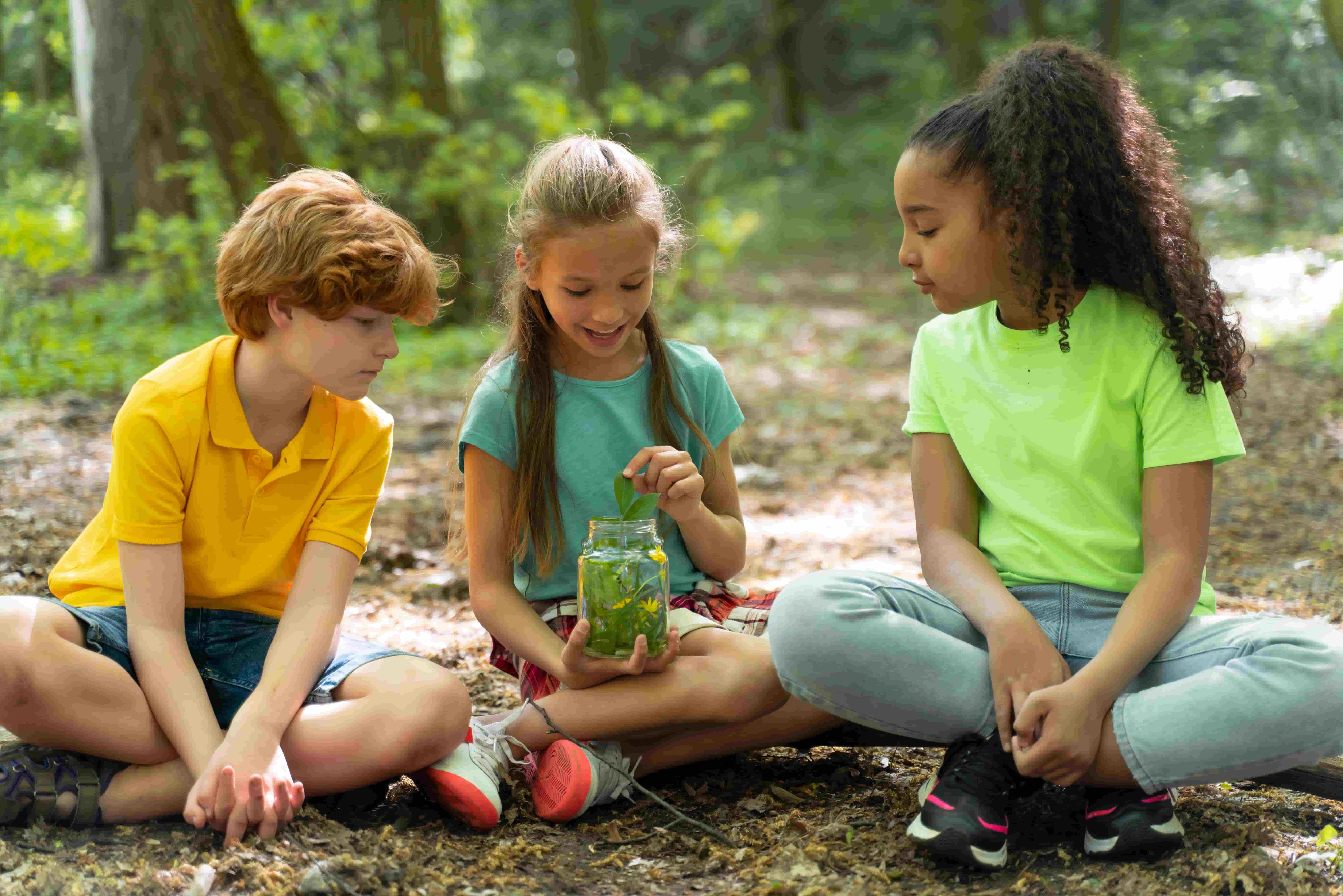 Dia Mundial do Meio Ambiente: Reflexões e Práticas para a Escola