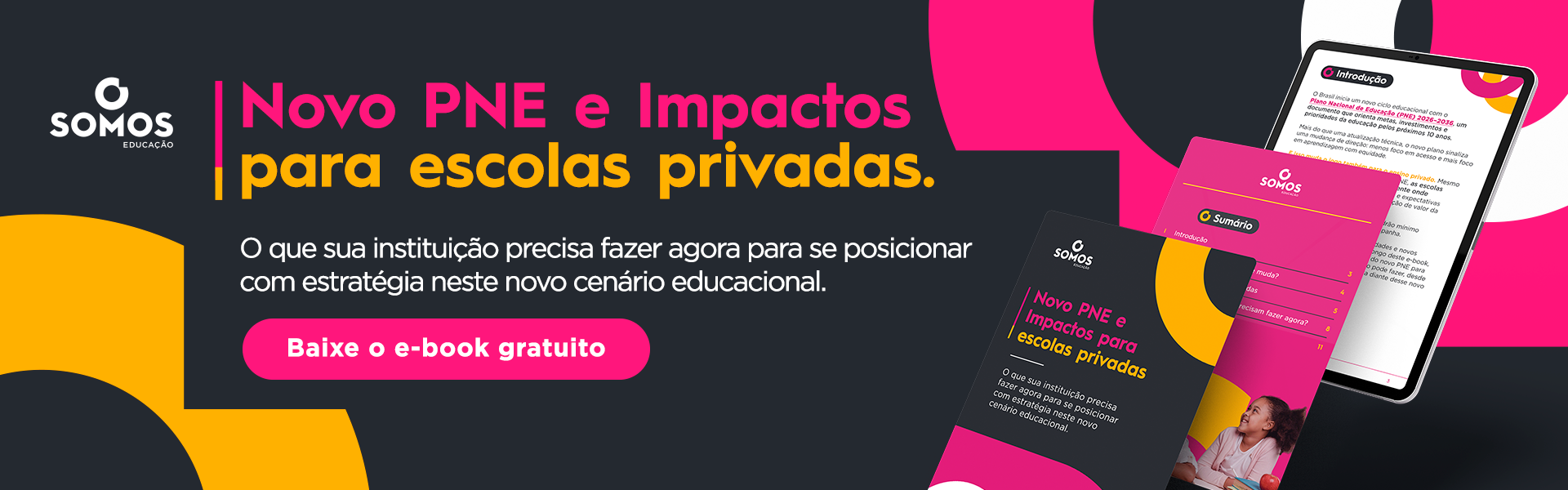 Novo PNE e Impactos